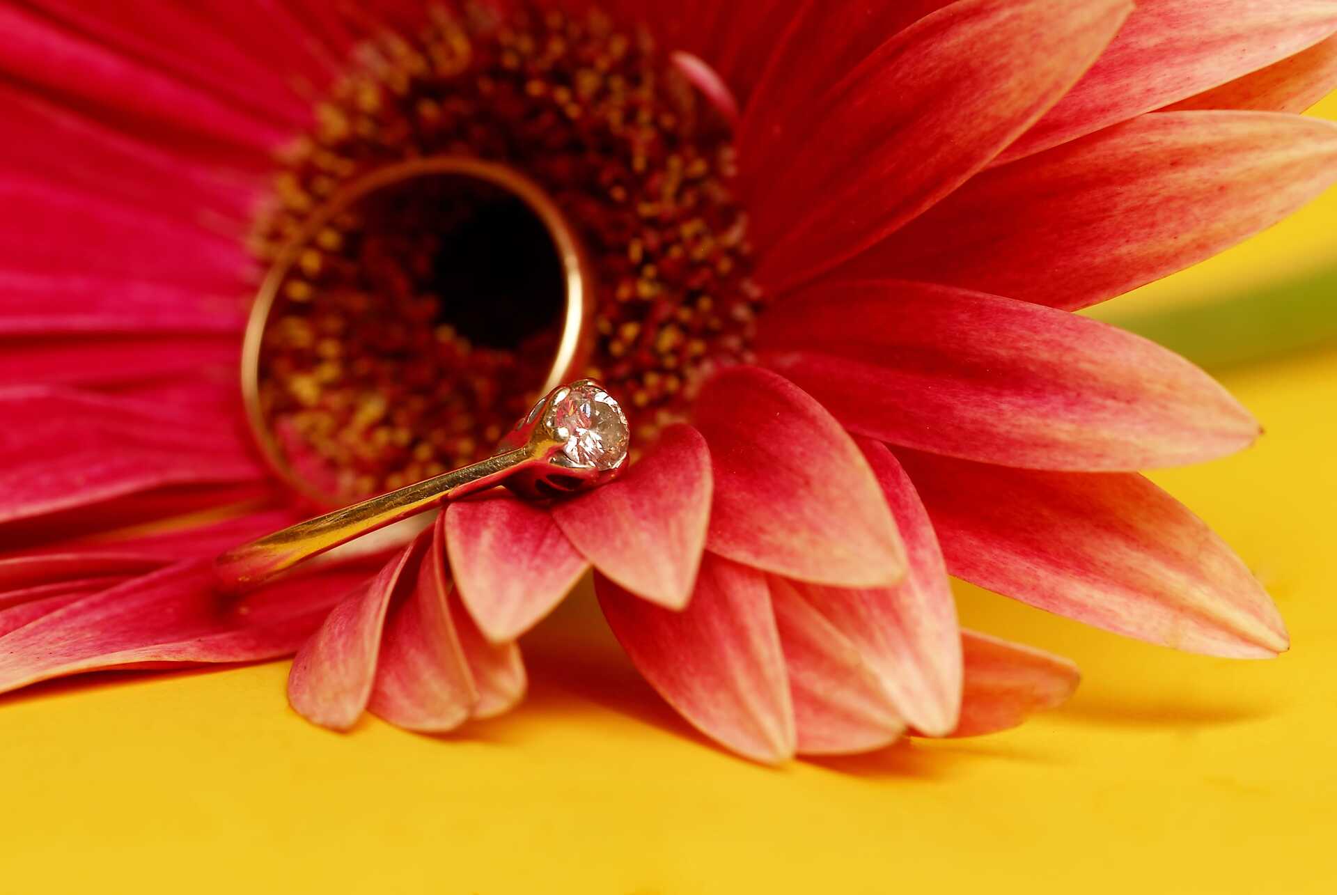Yellow gold diamond ring