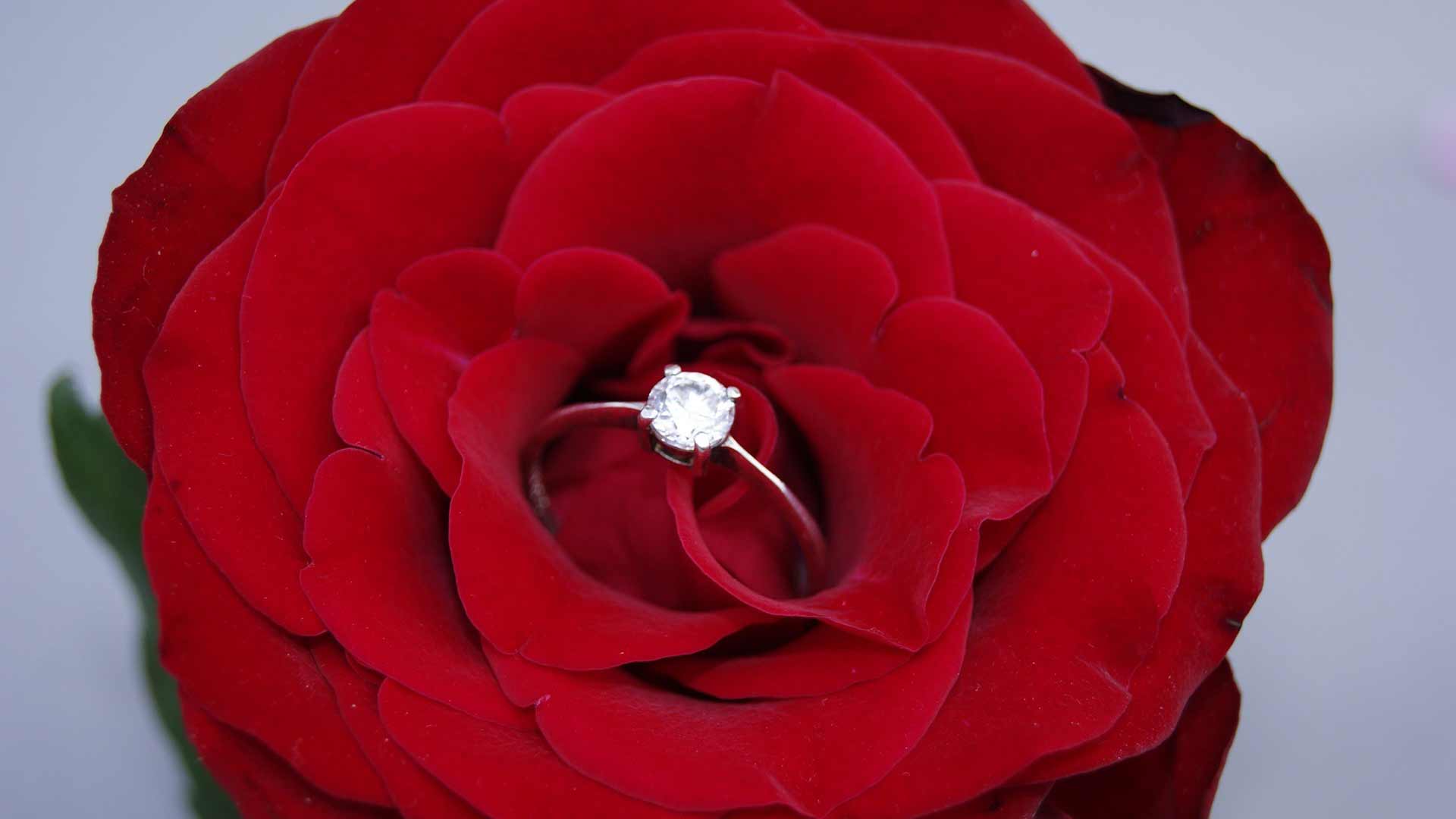 Reconnaître pureté diamant